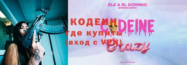 мдпв Богородицк