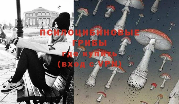 прущая мука Богданович