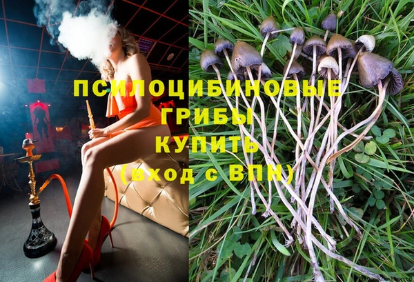 мдпв Богородицк