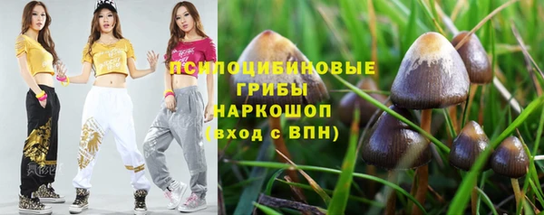 мдпв Богородицк