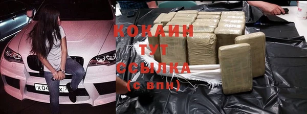 мдпв Богородицк
